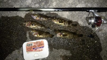 そろそろタケノコ釣りシーズン？