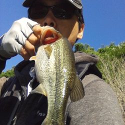 バスは見えますが…