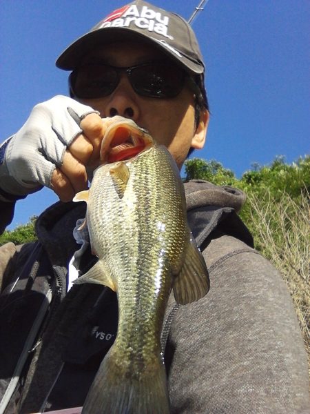 バスは見えますが…