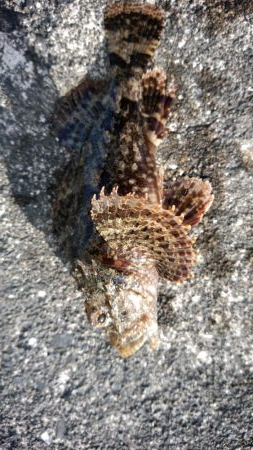 家族旅行の送迎