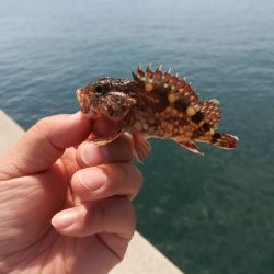 キス狙いのはずが、、、