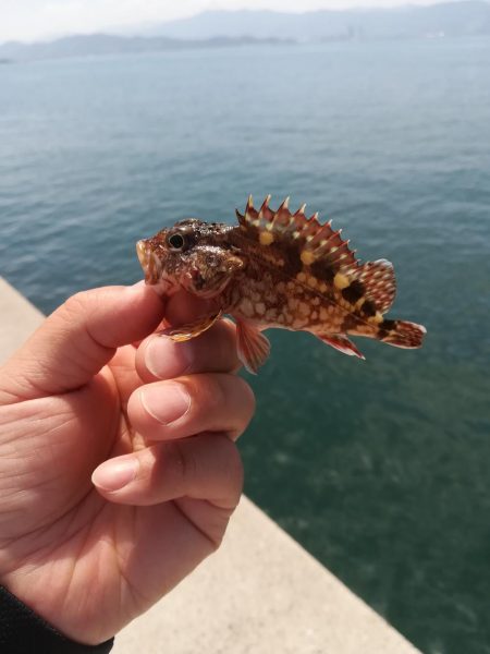 キス狙いのはずが、、、