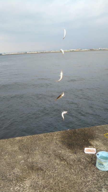 岸和田一文字 北の沖