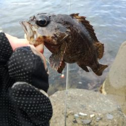 遠征なのにボロボロ貧果