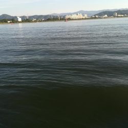 ショアラバでタイを狙っていましたが・・・