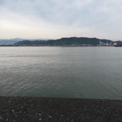 ショアジギング&ショアラバ