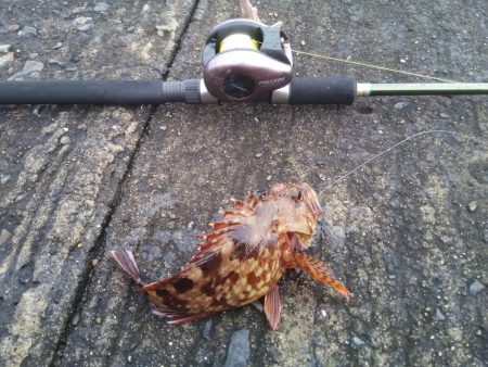 落とし込みでこの結果