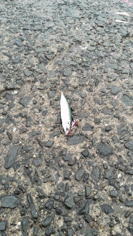 アジングに出掛けるも