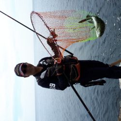 仲間内のゆかいな大会