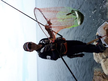 仲間内のゆかいな大会