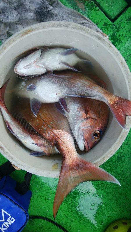 第二美丸　マダイ完全ふかせ