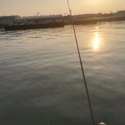 プルプルブルブル