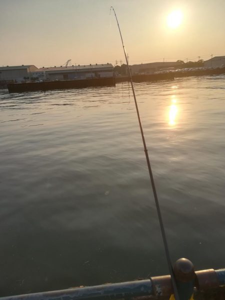 プルプルブルブル