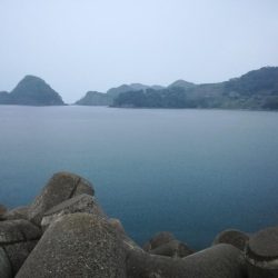 1匹釣れたら帰ります