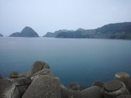 1匹釣れたら帰ります