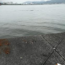 潮の下げ始めからショアラバ開始で、、、