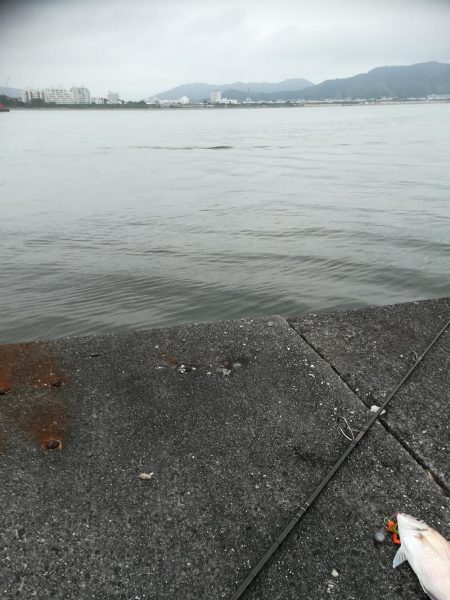 潮の下げ始めからショアラバ開始で、、、