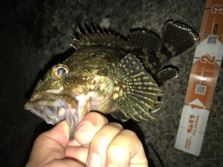 青流しでもガッシー