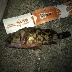 寄り道ガッシー