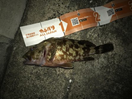 寄り道ガッシー