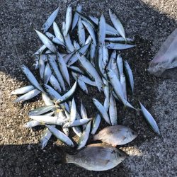 貝塚人工島にて