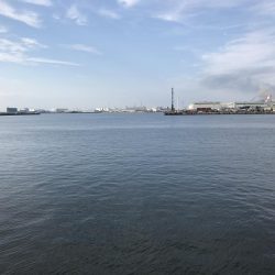 泉大津の砂上げ場。