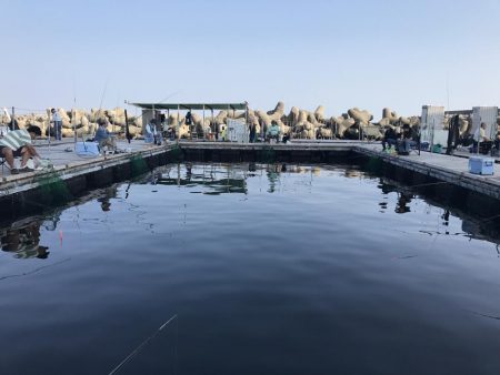 田尻の釣堀にて