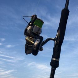 甲子園浜　３日連続　４０ｃｍ