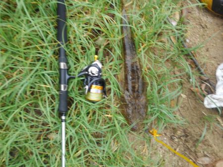 シブイ日でした