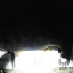 久しぶりにチニング!