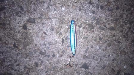 なんとか雨があがりそうなので和歌山紀ノ川まで行って来ました。