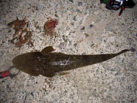 ワームのチョイ投げにて