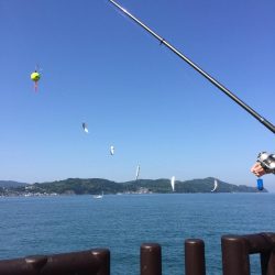 サビキでイワシ爆釣☆