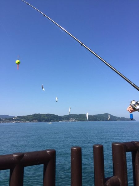 サビキでイワシ爆釣☆