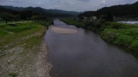 上桂川の鮎
