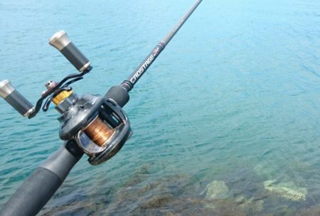 デイロックフィッシュ