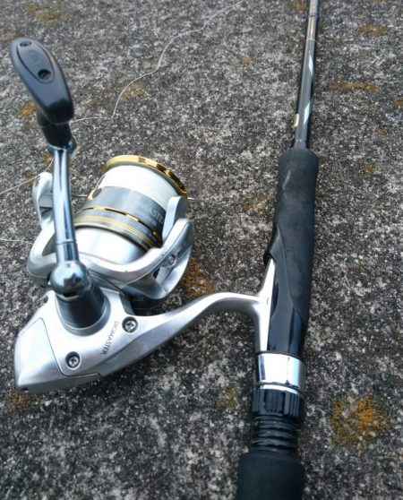 ランカースズキを狙って朝練釣行!!