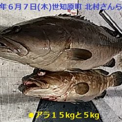 大物釣果速報!●光義丸:平戸市早福港