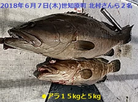 大物釣果速報!●光義丸:平戸市早福港