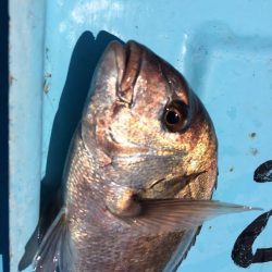 ボートフィッシング