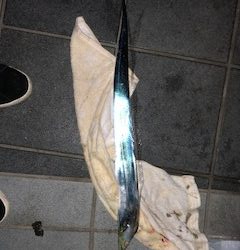 ６月１０日のＭＣ大波止