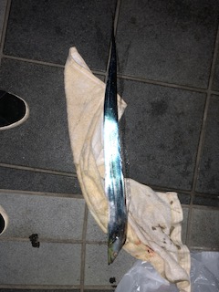 ６月１０日のＭＣ大波止