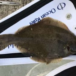 キス釣りでまさかの・・・