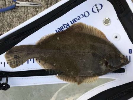 キス釣りでまさかの・・・