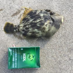 たまにはのんびりと