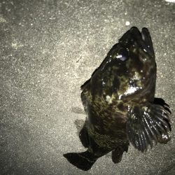 今年は相性が悪い？