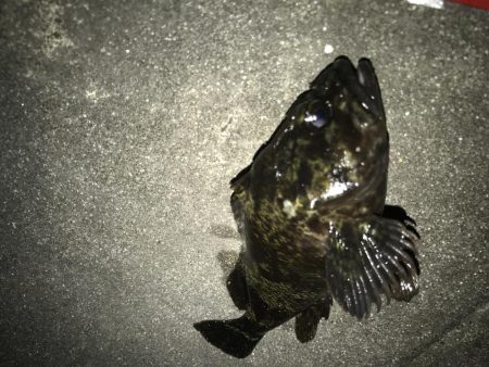 今年は相性が悪い？