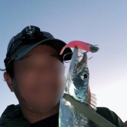 今年初タチウオ！