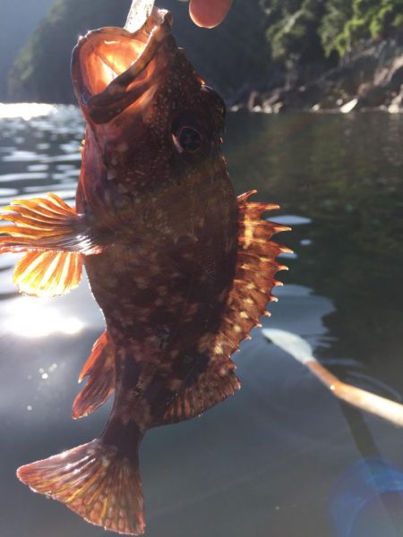 高浜　音海での手漕ぎボート