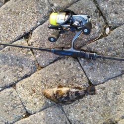 つかの間の日中ショートゲーム